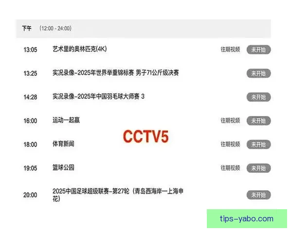 世界杯竞猜热潮来袭球迷智慧与激情交织的终极挑战盛宴