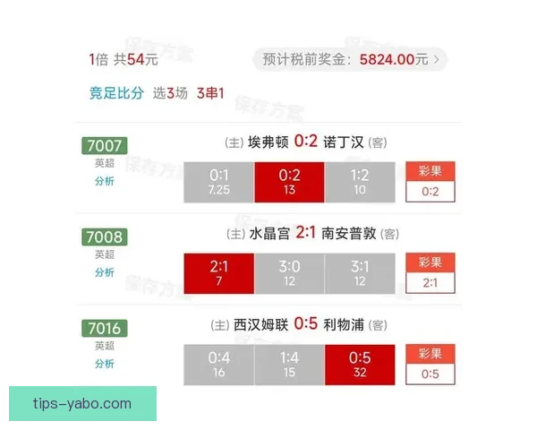 全面解析体育竞猜平台的运营模式与市场前景发展趋势